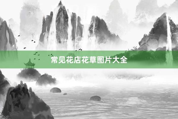 常见花店花草图片大全